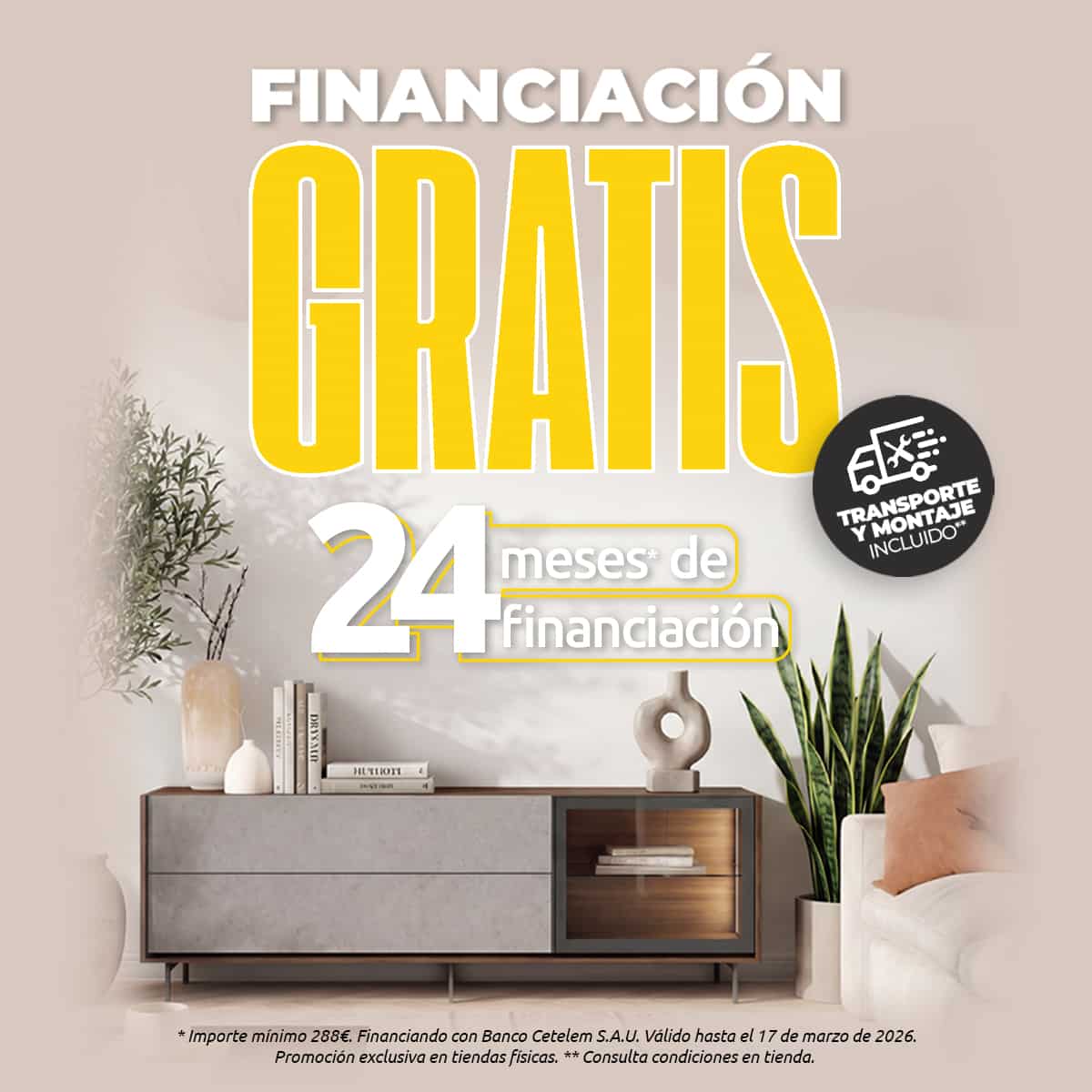 Muebles en Castell&oacute;n